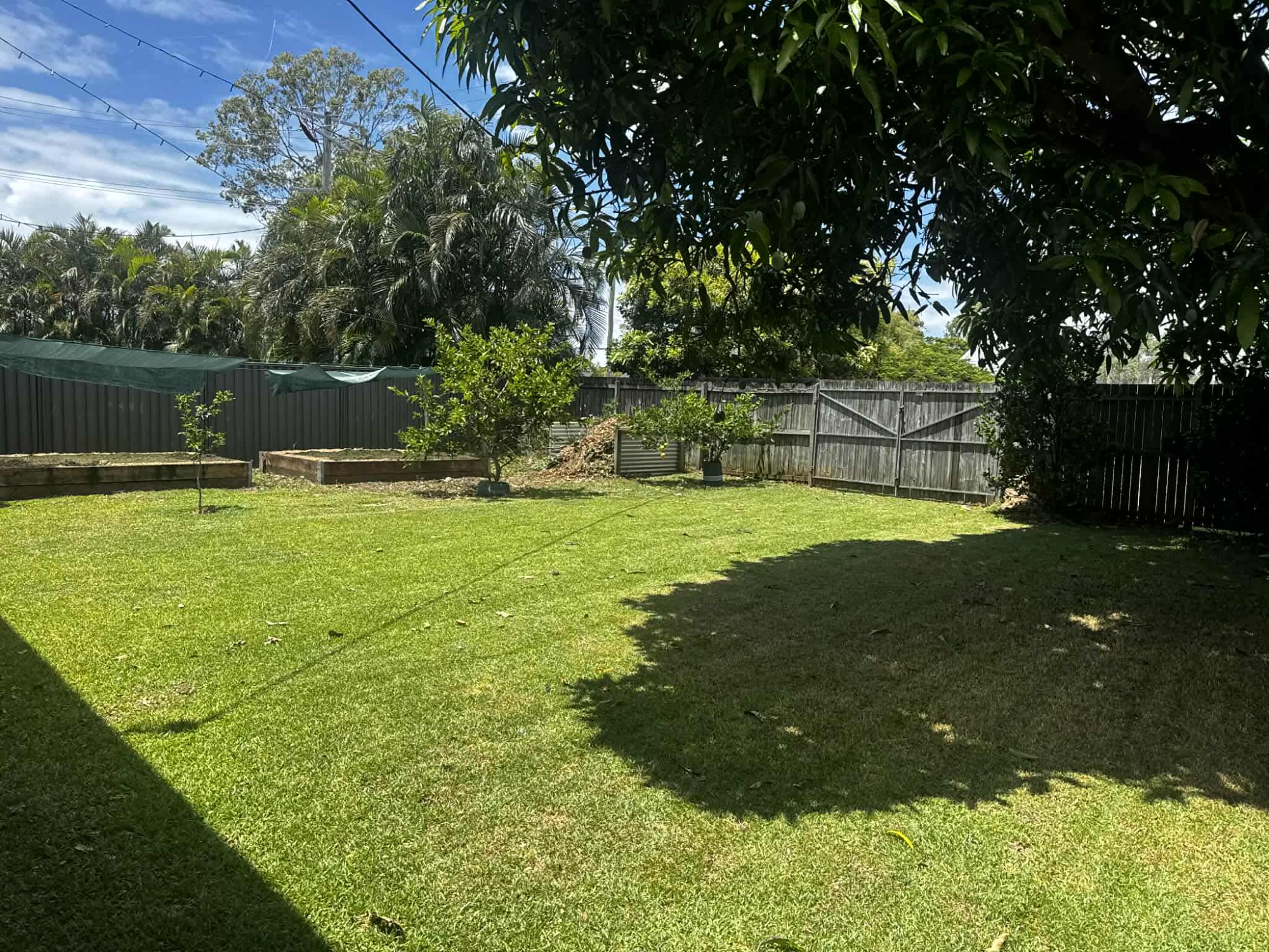 Large backyard freshly mowed with raised garden beds